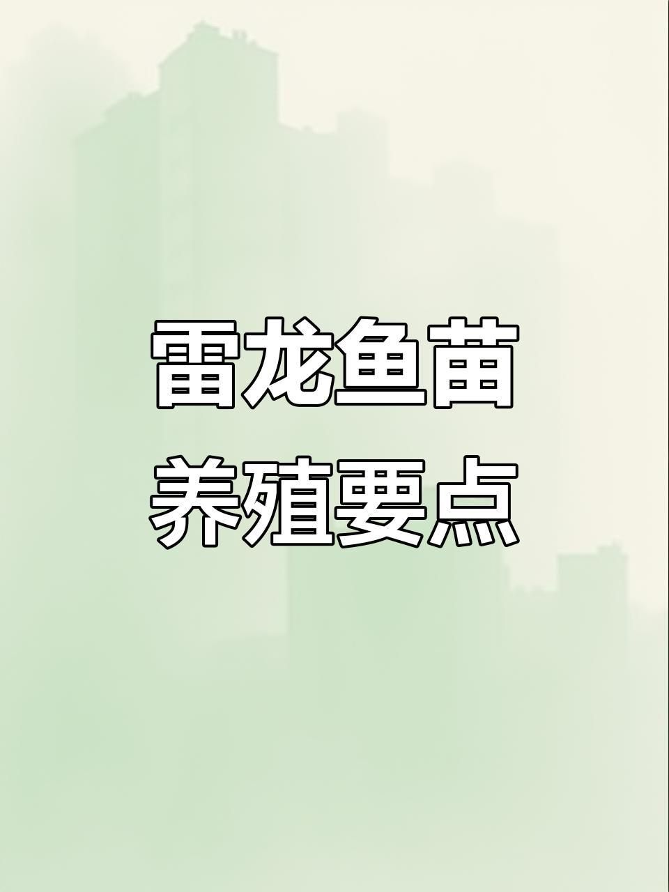 雷龍魚開口后多久喂一次？