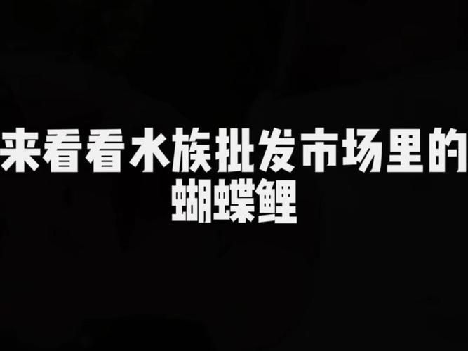 龍鳳鯉和蝴蝶鯉圖片對比
