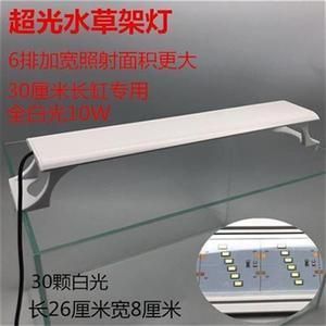 龍魚缸用什么燈光好看又好養