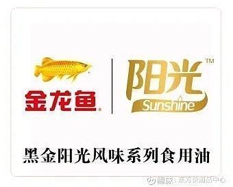 金龍魚圖案設計說明怎么寫的（金龍魚圖案設計在家居裝飾中的應用案例） 金龍魚圖案設計說明怎么寫的（金龍魚圖案設計在家居裝飾中的應用案例） 龍魚百科 第2張