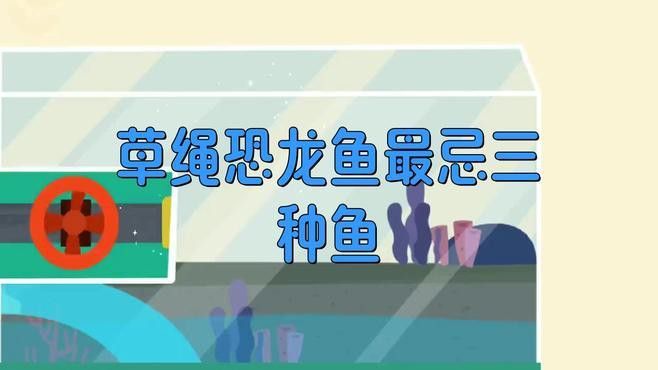 肺魚恐龍魚混養(yǎng)