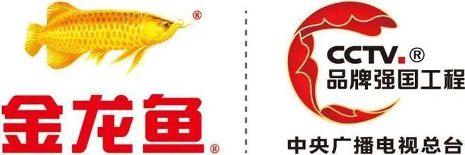 金龍魚廣告片(剪輯后：剪輯后的金龍魚廣告片