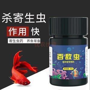 金龍魚需要什么燈：第28屆中國國際寵物水族展覽會cips)2024長城寵物展