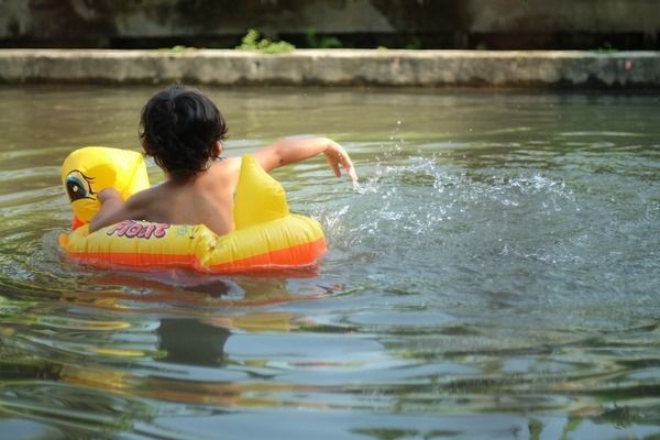 幼魚階段黃金貓魚飼料選擇:黃金貓魚幼魚飼料品牌推薦 龍魚百科 第5張 幼魚階段黃金貓魚飼料選擇:黃金貓魚幼魚飼料品牌推薦 幼魚階段黃金貓魚飼料選擇:黃金貓魚幼魚飼料品牌推薦 龍魚百科 第5張