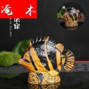 金龍魚吃什么食物才會變色：金龍魚吃什么發色好金龍魚吃什么發色最好