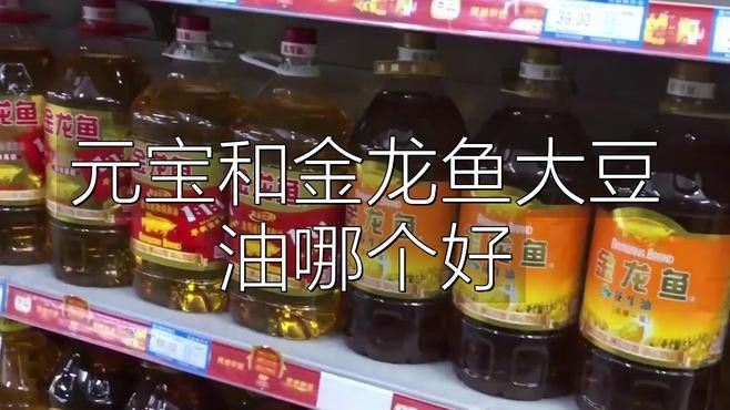 金元寶和金龍魚 金元寶和金龍魚 龍魚百科 第13張