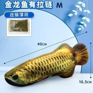 金龍魚咬別的魚怎么回事：金龍魚咬別的魚可能是因為空間太小導致與其他魚產生沖突