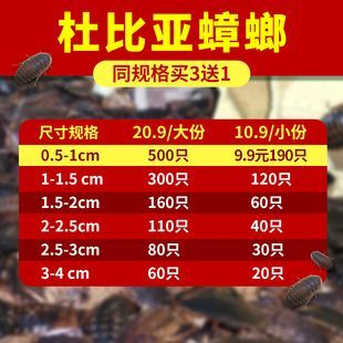 龍魚在哪里買便宜：如何購買龍魚 龍魚在哪里買便宜：如何購買龍魚 龍魚百科