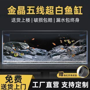 紅龍魚(yú)市場(chǎng)價(jià)格表最新消息查詢(xún)電話（紅龍魚(yú)價(jià)格多少錢(qián)一條?）