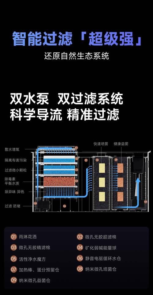金龍魚適合水溫是多少