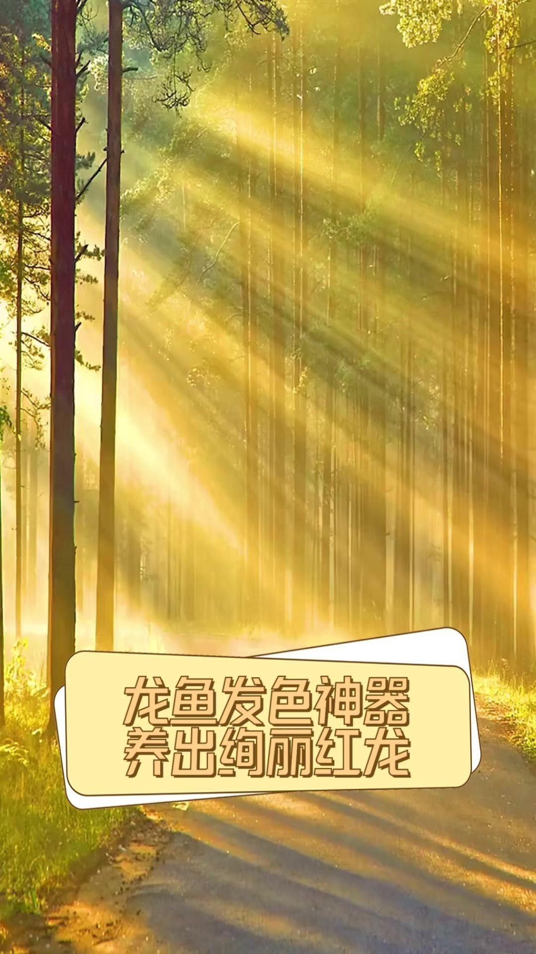 紅龍專用照明設(shè)備一般價格是多少 紅龍專用照明設(shè)備一般價格是多少 龍魚百科 第4張