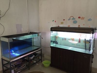匯龍魚缸出廠日期怎么看圖解【如何識別匯龍魚缸的生產日期】