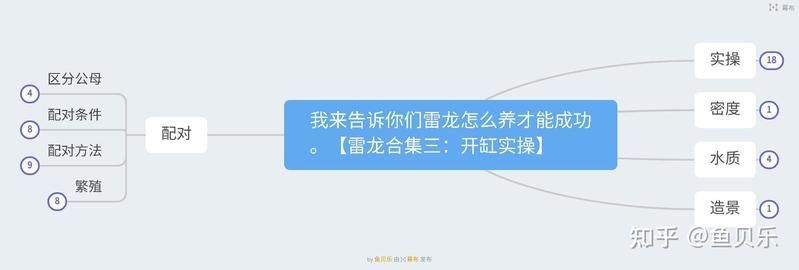 酒紅雷龍 一對