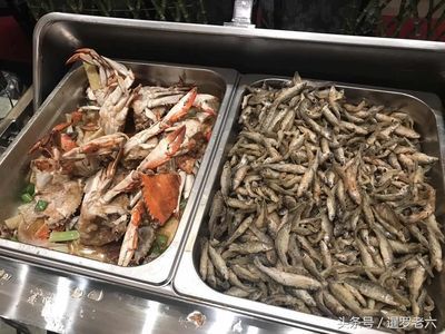 龍魚吃自助餐怎么吃：龍魚的“自助餐”主要指提供多樣化的活食和飼料選擇技巧