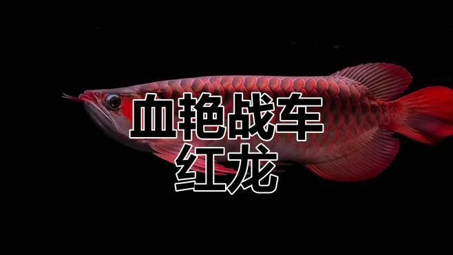 給我推薦幾款紅龍之眼4K壁紙