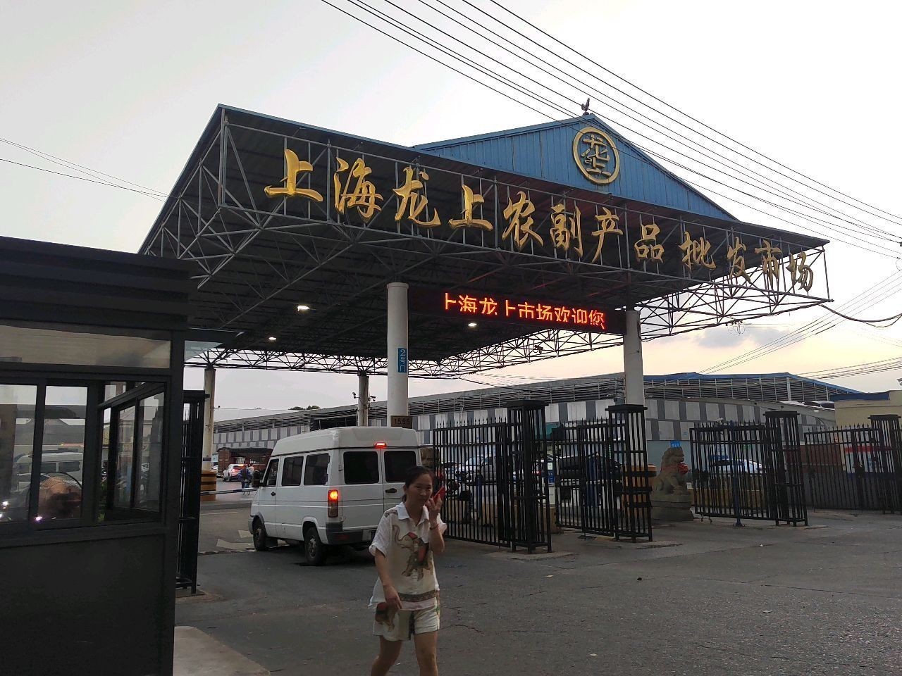 上海買龍魚的地方有哪些