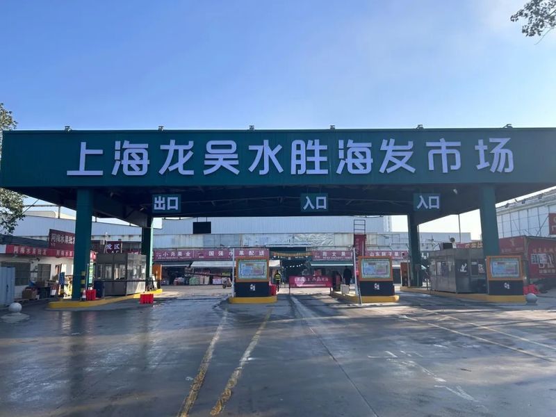上海買龍魚的地方有哪些