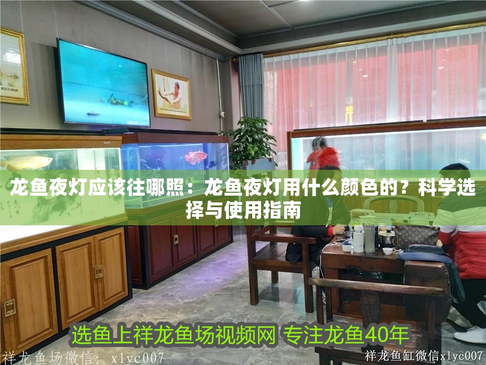 龍魚夜燈應該往哪照：龍魚夜燈用什么顏色的？科學選擇與使用指南