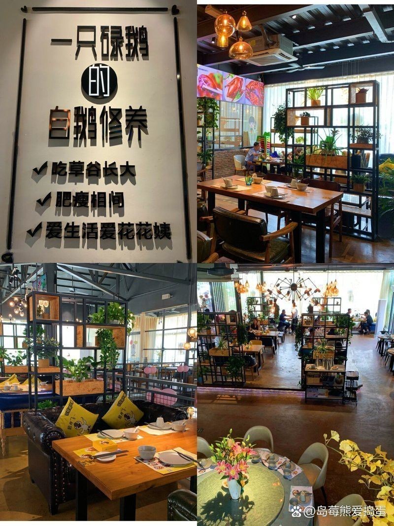 清遠古龍魚莊價格