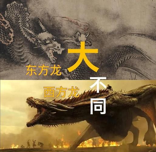 古典金龍與現代改良金龍的區別