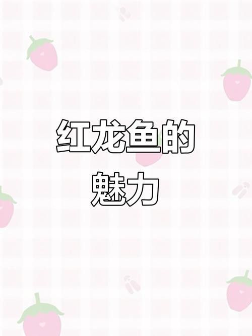 紅龍魚圖片高清大圖大全視頻