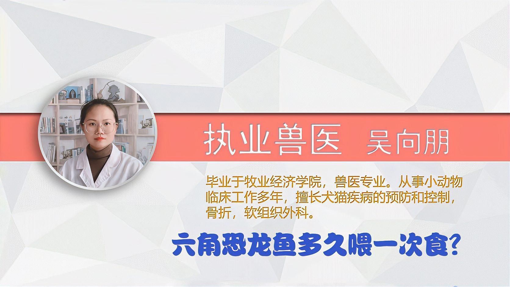 六角龍魚多久喂一次