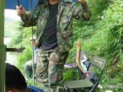在廣東,養龍魚一般什么時侯需要加溫(在廣東地區養殖龍魚時,一般不需要加溫) 龍魚百科 第4張 在廣東,養龍魚一般什么時侯需要加溫(在廣東地區養殖龍魚時,一般不需要加溫) 在廣東,養龍魚一般什么時侯需要加溫(在廣東地區養殖龍魚時,一般不需要加溫) 龍魚百科 第4張