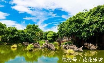 在廣東,養龍魚一般什么時侯需要加溫(在廣東地區養殖龍魚時,一般不需要加溫) 龍魚百科 第5張 在廣東,養龍魚一般什么時侯需要加溫(在廣東地區養殖龍魚時,一般不需要加溫) 在廣東,養龍魚一般什么時侯需要加溫(在廣東地區養殖龍魚時,一般不需要加溫) 龍魚百科 第5張