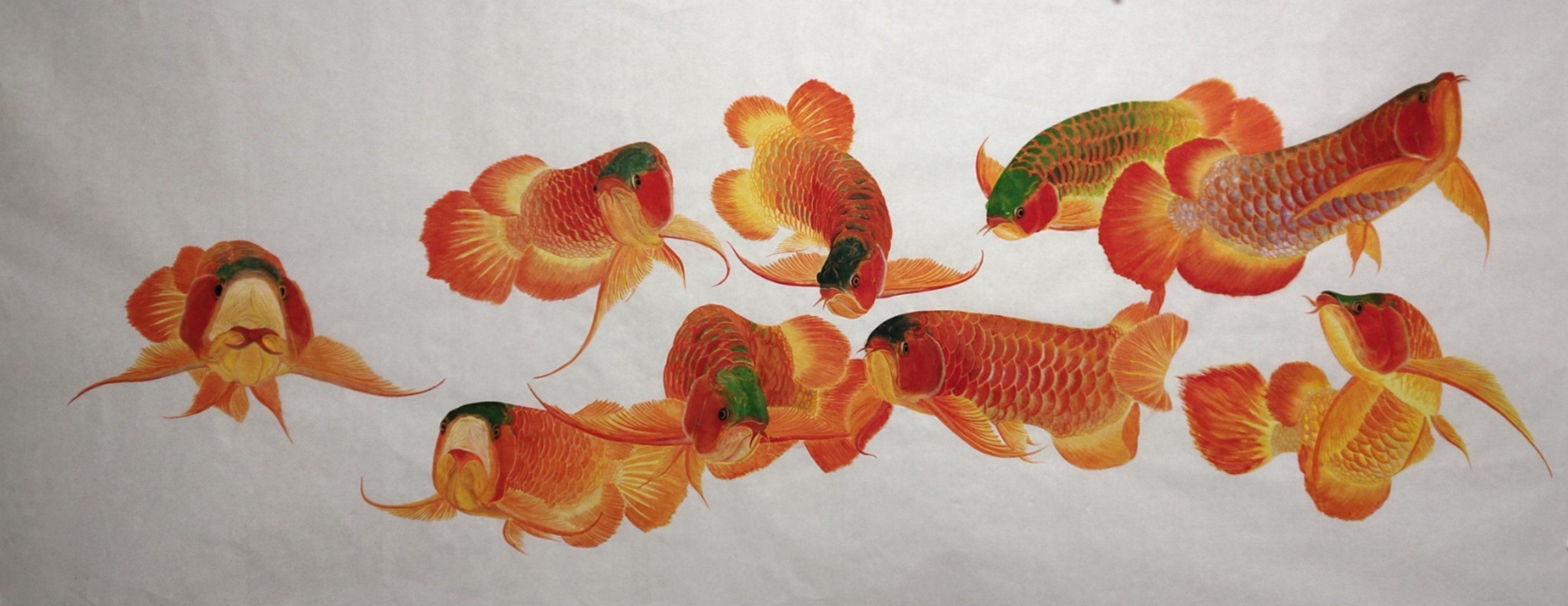龍魚畫適合掛哪里（龍魚畫適合掛在什么位置）