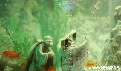 東海龍宮魚缸價(jià)格多少：東海龍宮魚缸價(jià)格遠(yuǎn)高于普通魚缸，水族箱的藝術(shù)價(jià)值