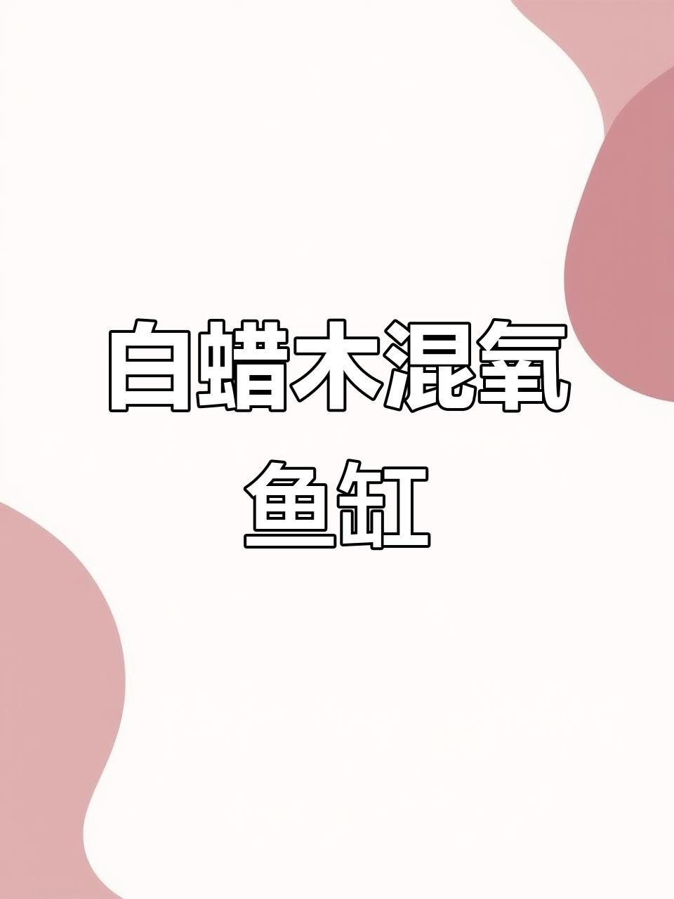 龍魚缸的材質(zhì)有哪些選擇？