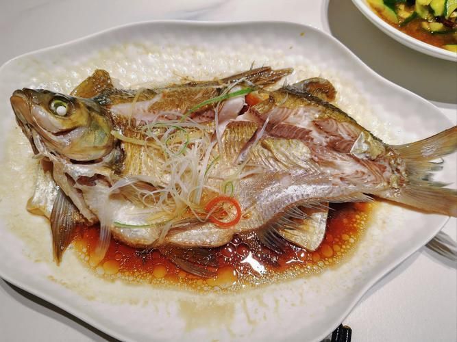 鱸魚圖片