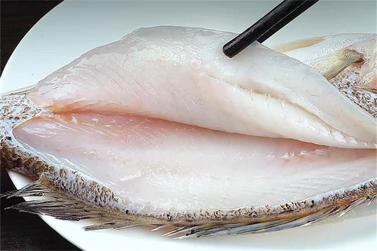 鱸魚圖片