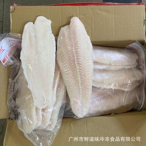 海魚(yú)金龍魚(yú)