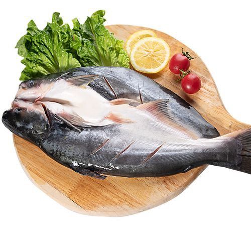 海魚(yú)金龍魚(yú)