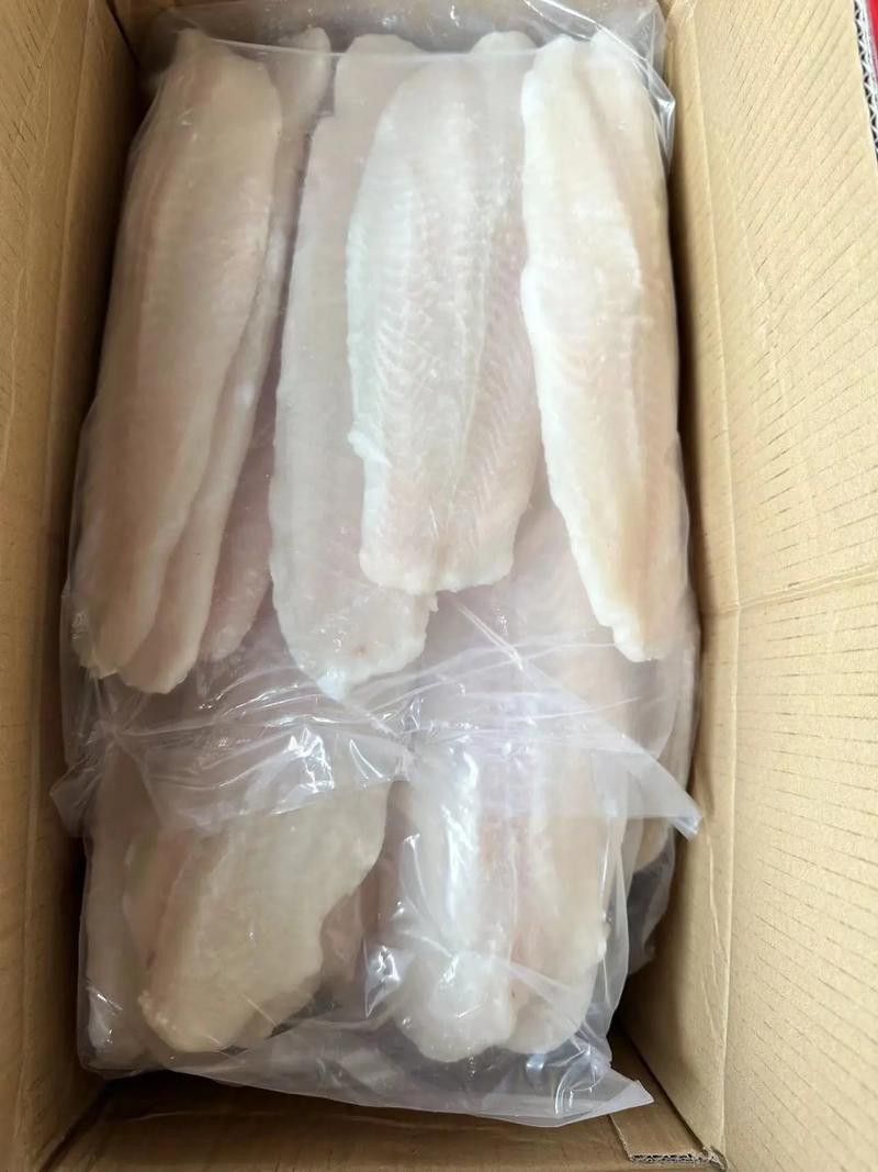 海魚(yú)金龍魚(yú)