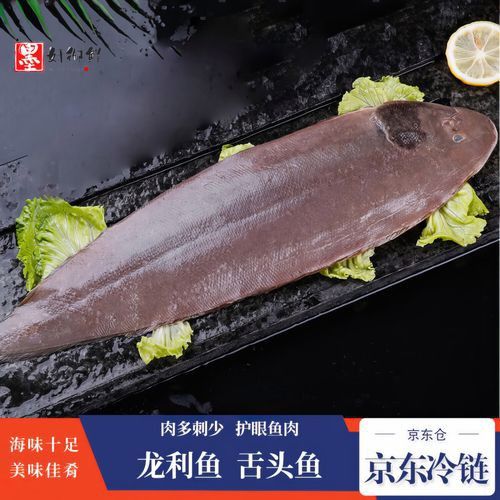 海魚(yú)金龍魚(yú)