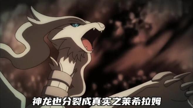 道之三龍中哪張圖片最受歡迎？