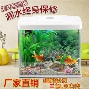 龍魚缸溫度一直35度：龍魚缸溫度一直維持在35度，對龍魚的生長和健康至關重要