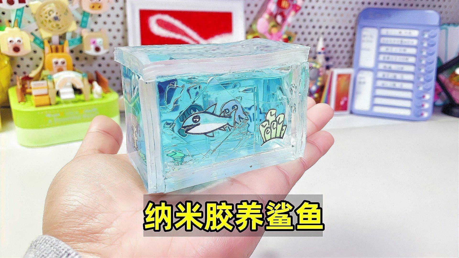 繁殖缸中需要放置哪些裝飾物？