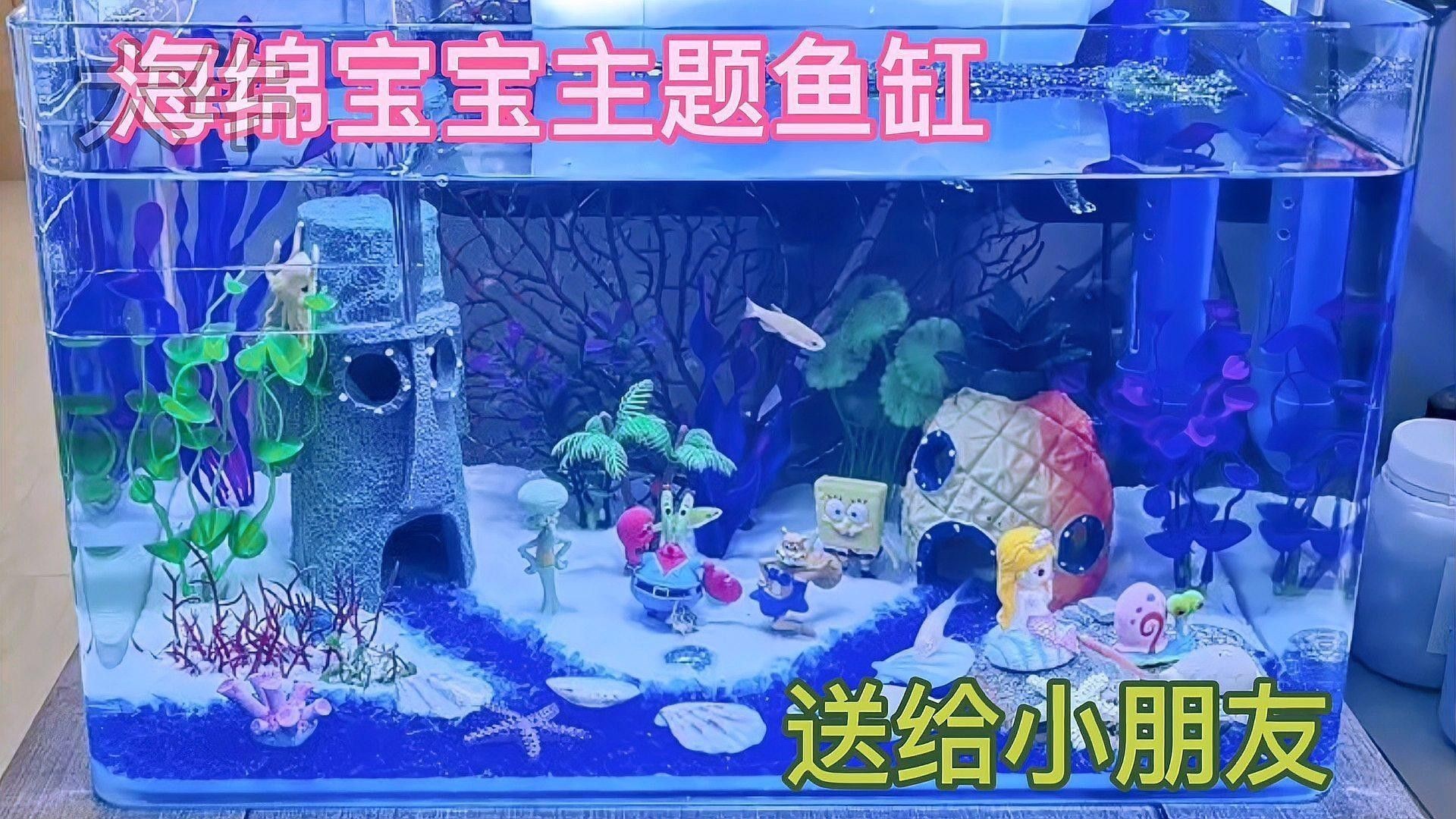 繁殖缸中需要放置哪些裝飾物？