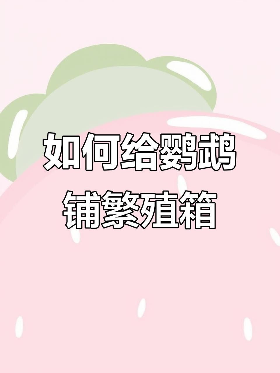 繁殖缸中需要放置哪些裝飾物？