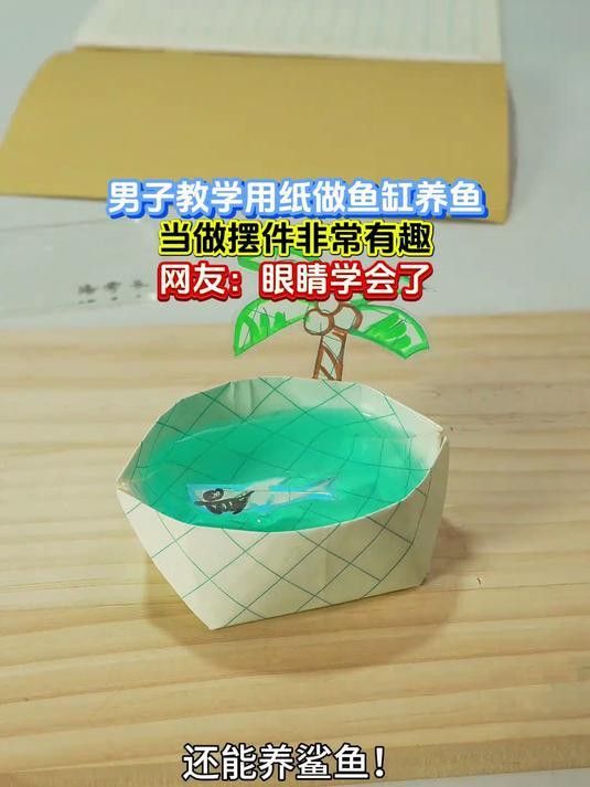 繁殖缸中需要放置哪些裝飾物？