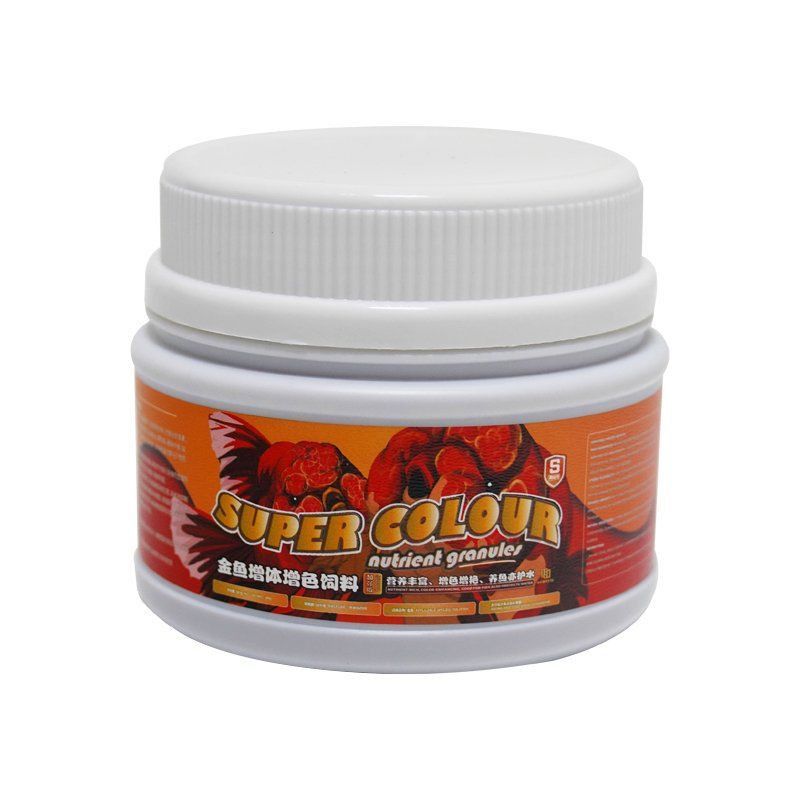 馬印官網(wǎng)入口 龍魚百科 第1張 馬印官網(wǎng)入口 馬印官網(wǎng)入口 龍魚百科 第1張