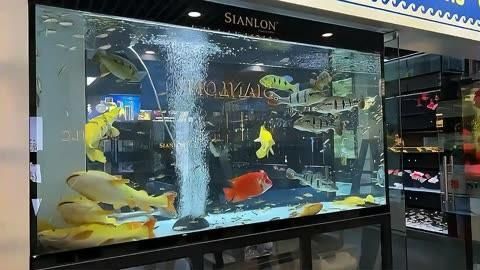 可麗愛魚缸質量怎么樣