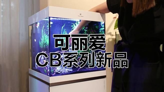 可麗愛魚缸質量怎么樣