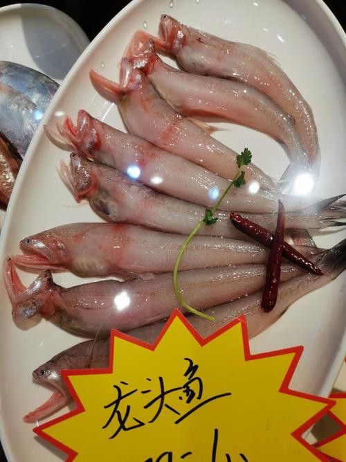 九龍縣騰龍魚 九龍縣騰龍魚 龍魚百科 第5張