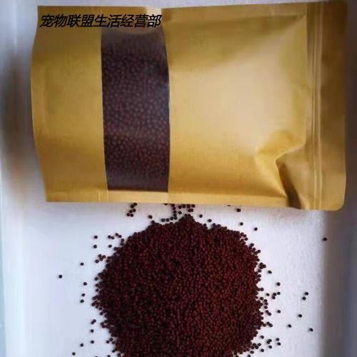 赤瞳黃龍魚圖片大全