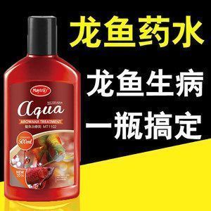 龍魚立磷病為什么冶不好：龍魚立磷病治療困難的原因有哪些