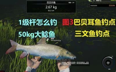 龍魚釣點:《奧比島手游》龍魚的釣點分布情況 龍魚百科 第2張 龍魚釣點:《奧比島手游》龍魚的釣點分布情況 龍魚釣點:《奧比島手游》龍魚的釣點分布情況 龍魚百科 第2張